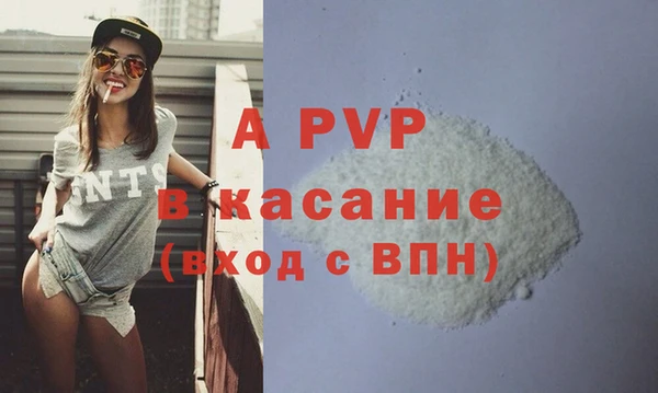 крисы Вязьма
