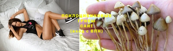 ПСИЛОЦИБИНОВЫЕ ГРИБЫ Володарск