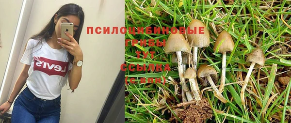 амфетамин Вяземский