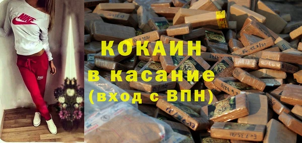 крисы Вязьма