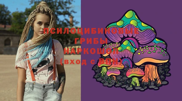 прущий лед Вязники
