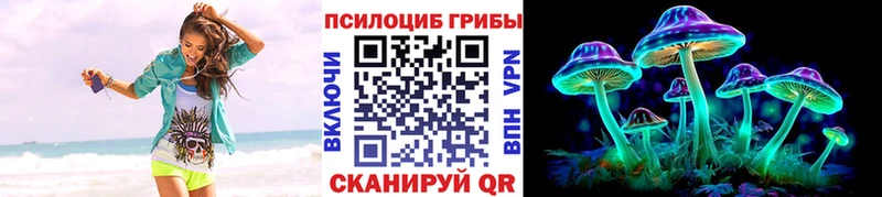 Галлюциногенные грибы MAGIC MUSHROOMS Купить закладки Верхний Тагил